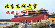 天天艹男女中国北京-东城古宫旅游风景区